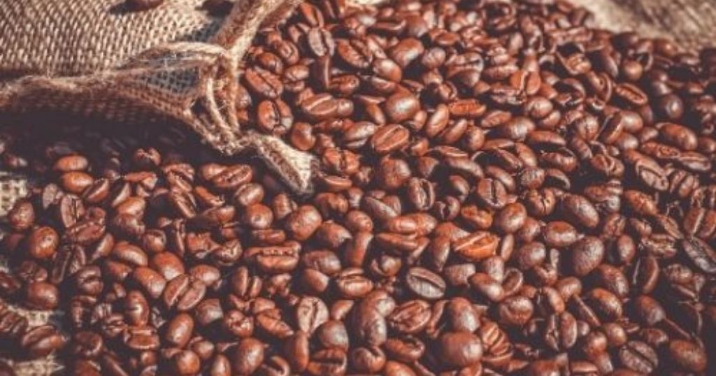 bild som beskriver kaffebönor som torkas