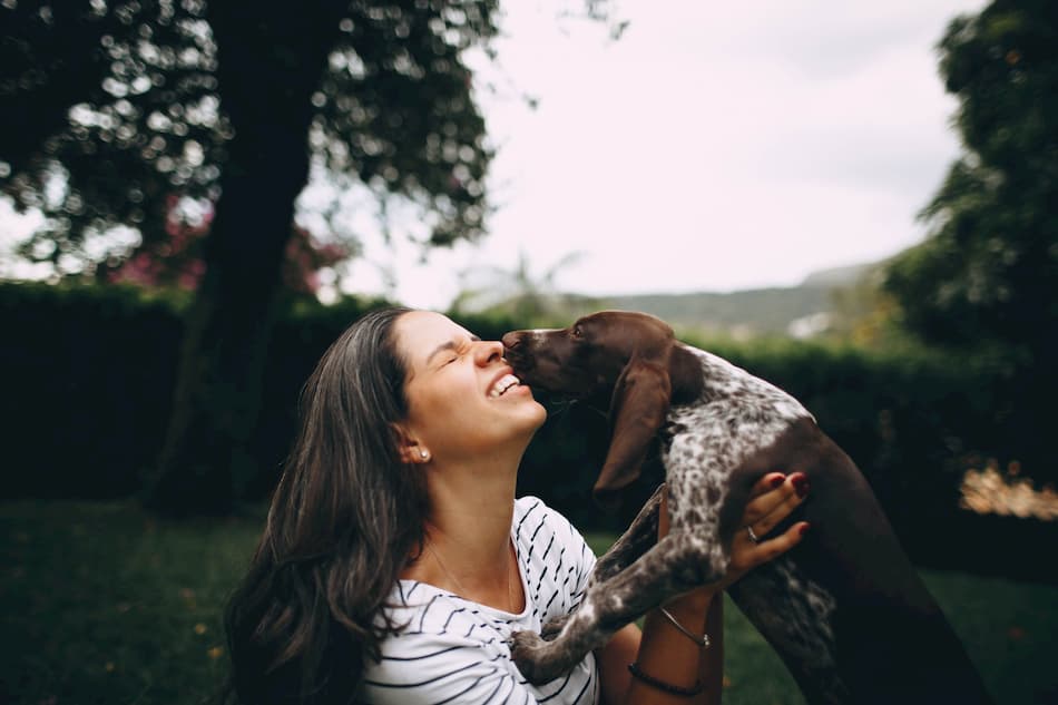 hund visar kärlek genom att slicka ägare i ansikte. Glad tjej och brun hund