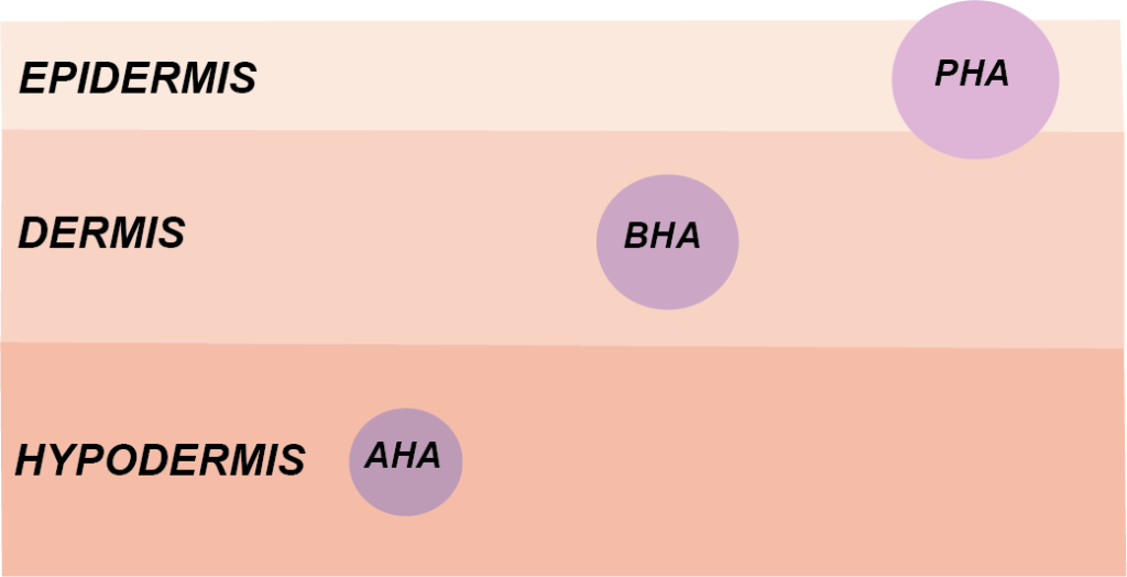 Hudens olika lager epidermis, dermis och hypodermis. Hur djupt de olika syrorna PHA, BHA och AHA tränger ner i huden.