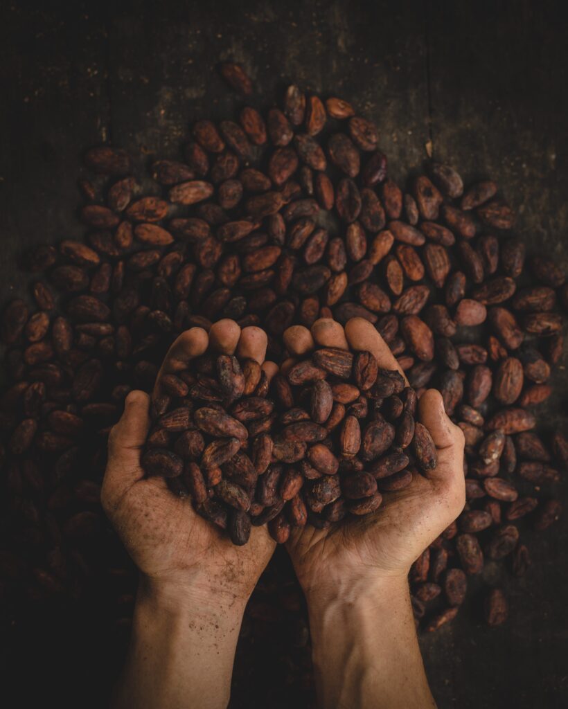 kakaobönor som ligger ett par händer och under händerna på ett bord.